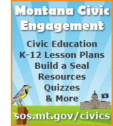 Civics Website