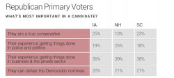 republican-primary-voters.jpg