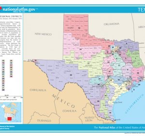 Primary Elections in Texas