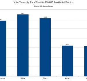 Voter turnout in 2012 presidential election