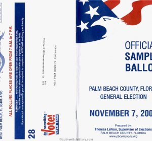 Voters ballots sample