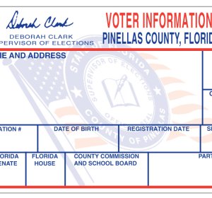 Voters registration card copy