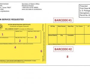 Voters registration card Texas