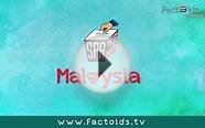 Malaysian General Election 2013