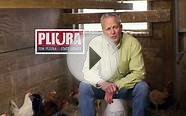 Tom Pliura for State Senate // Chicken